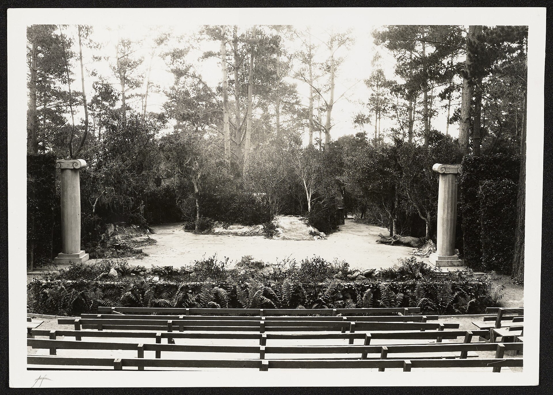 Midsummer Night's Dream (b1) by Lewis Josselyn, from California Revealed, ca. 1915. Public domain. No restrictions on use. (DreamHost)